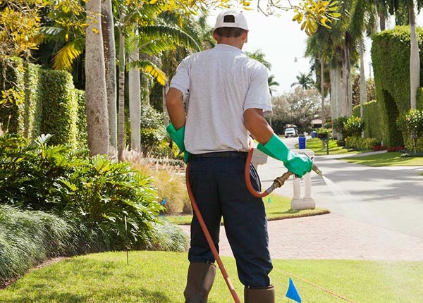 About Battle Creek NE Pest Control Pros